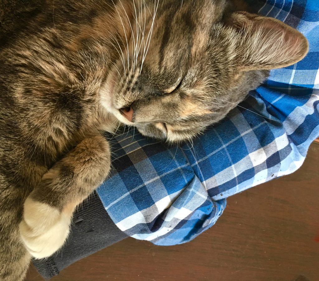 In Repose Restoring Ross